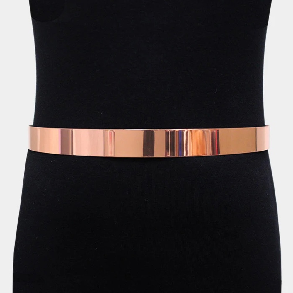 Metal Bar Waist Belt NWT